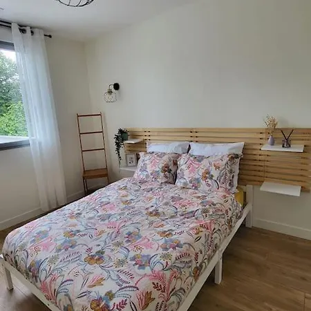 4 Avec Piscine Chauffee * Пессак